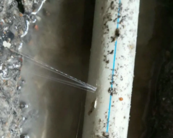 平山卫生间测漏水多少钱
