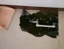 平山卫生间测漏水多少钱